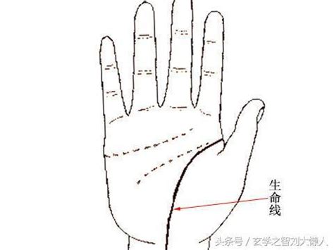 生命線分兩條|手相算命生命線分叉圖解